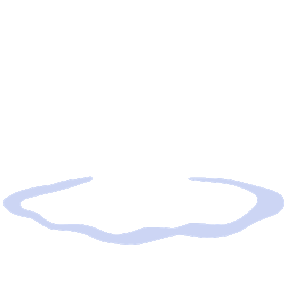 Neeraj Bharadwaaj