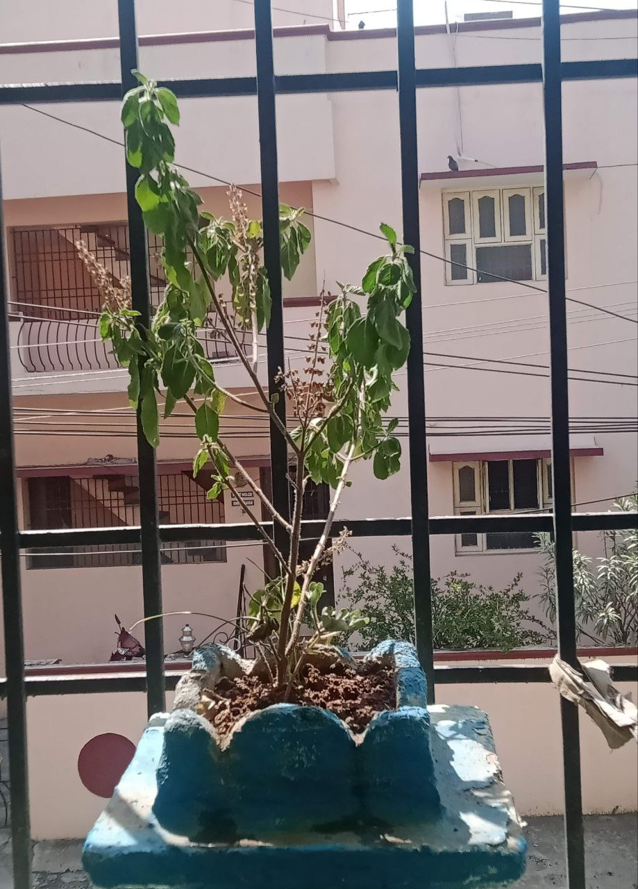 Pallavaram Hills