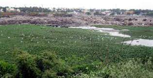Pallavaram Hills